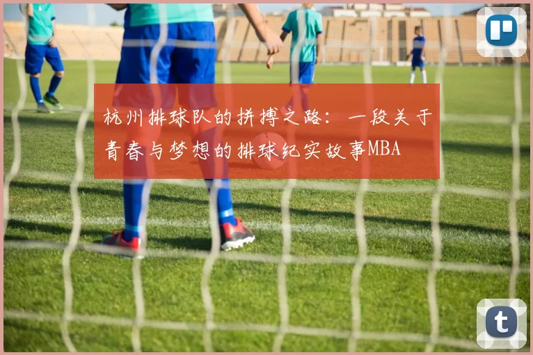 杭州排球队的拼搏之路：一段关于青春与梦想的排球纪实故事MBA