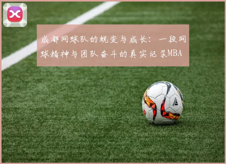 成都网球队的蜕变与成长：一段网球精神与团队奋斗的真实记录MBA