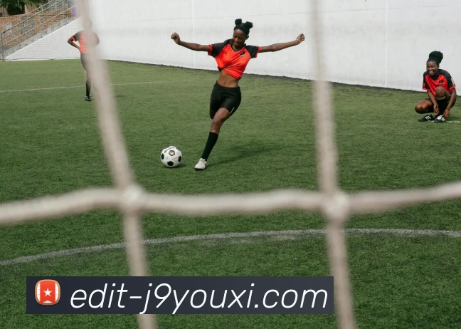 j9九游会官方入口服务体系